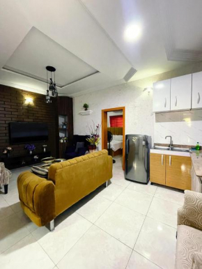 Modern 2BDR Apt - 247 power supply, Porch, Wi-Fi,Kitchenette & 5 mins DRV to Airport